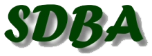 Logo - Southampton and District Badminton Association